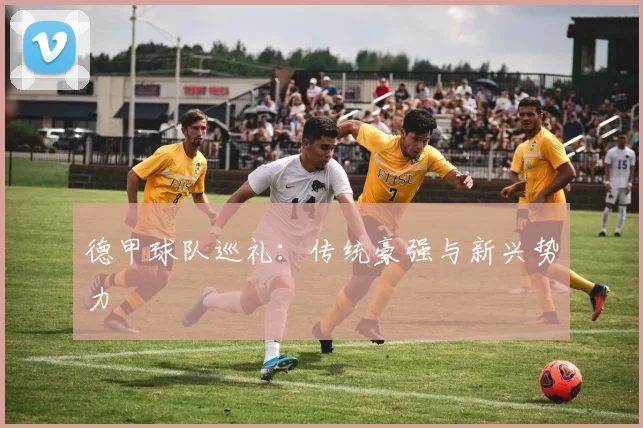 德甲球队巡礼：传统豪强与新兴势力